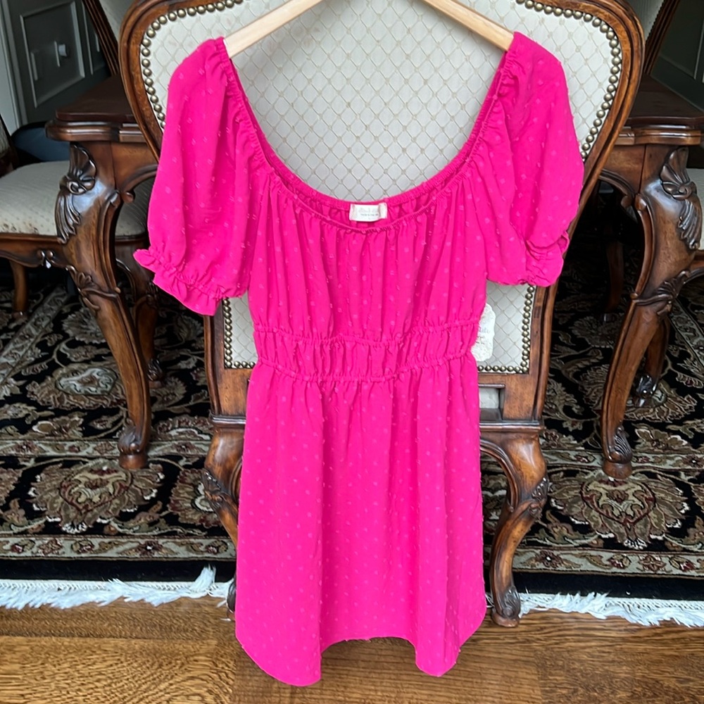NEW Altar’d State Hot Pink Dress Size L